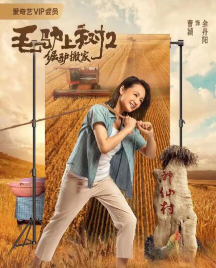 奇米麻豆